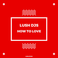 Lush Djs - How To Love