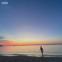 Homi - Traveler