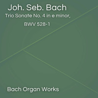 Johann Sebastian Bach - Trio Sonate No. 4 in e minor, BWV 528-1 (Johann Sebastian Bach, Epic Organ, Classic)