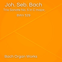 Johann Sebastian Bach - Trio Sonate No. 5 in C major, BWV 529 (Johann Sebastian Bach, Epic Organ, Classic)