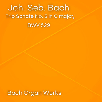 Johann Sebastian Bach - Trio Sonate No. 5 in C major, BWV 529 (Johann Sebastian Bach, Epic Organ, Classic)