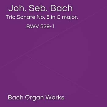 Johann Sebastian Bach - Trio Sonate No. 5 in C major, BWV 529-1 (Johann Sebastian Bach, Epic Organ, Classic)
