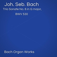 Johann Sebastian Bach - Trio Sonate No. 6 in G major, BWV 530 (Johann Sebastian Bach, Epic Organ, Classic)