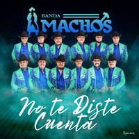 Banda Machos - No Te Diste Cuenta