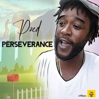 PZed - Perseverance