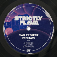 BWK Project - Feelings