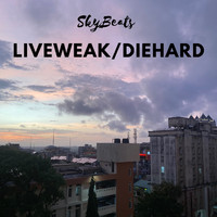 Skybeats - LIVEWEAK/DIEHARD