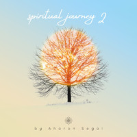 Aharon Segal - Spiritual Journey 2