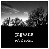 Pigasus - Rebel Spirit (Explicit)
