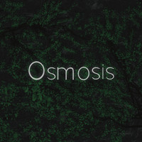 Vicarious Fr - Osmosis
