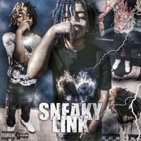 TwoFace - Sneaky Link (Explicit)