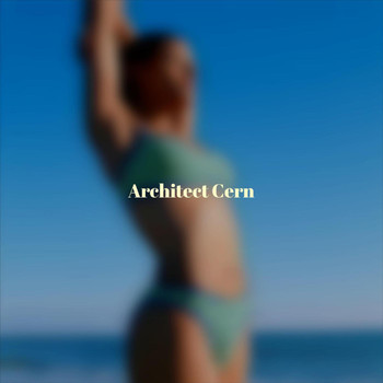 Various Artists - Architect Cern
