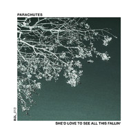 Parachutes - She'd Love to See All This Fallin'