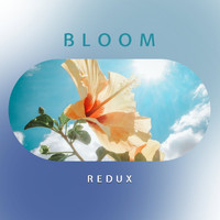 Redux - Bloom