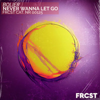 Bolier - Never Wanna Let Go