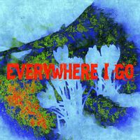 Wellz - Everywhere I Go (Explicit)