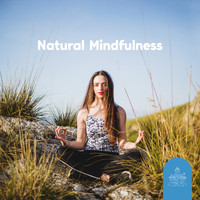 Buddhist Meditation Music Set - Natural Mindfulness: Meditation Music with Nature Sounds 2022