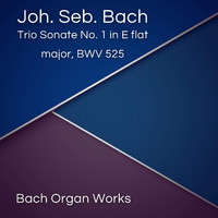 Johann Sebastian Bach - Trio Sonate No. 1 in E flat major, BWV 525 (Johann Sebastian Bach, Epic Organ, Classic)