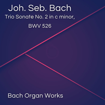 Johann Sebastian Bach - Trio Sonate No. 2 in c minor, BWV 526 (Johann Sebastian Bach, Epic Organ, Classic)