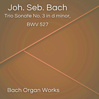 Johann Sebastian Bach - Trio Sonate No. 3 in d minor, BWV 527 (Johann Sebastian Bach, Epic Organ, Classic)