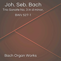Johann Sebastian Bach - Trio Sonate No. 3 in d minor, BWV 527-1 (Johann Sebastian Bach, Epic Organ, Classic)