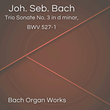 Johann Sebastian Bach - Trio Sonate No. 3 in d minor, BWV 527-1 (Johann Sebastian Bach, Epic Organ, Classic)
