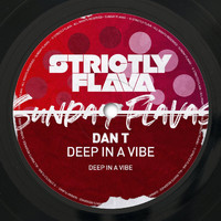 Dan T - Deep in a Vibe