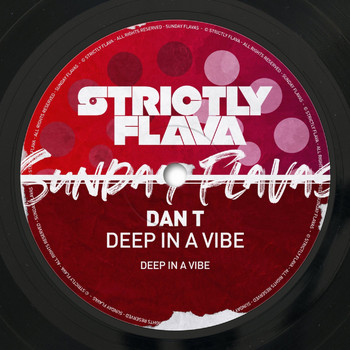 Dan T - Deep in a Vibe