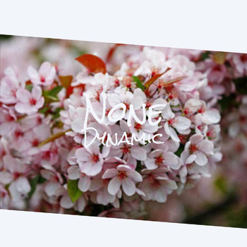 Various Artists - None Dynamic