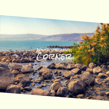 Various Artists - Appropriation Corner