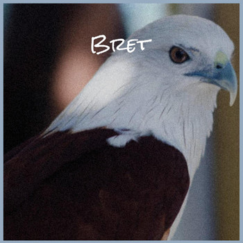 Various Artists - Bret