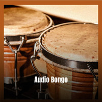 Various Artist - Audio Bongo