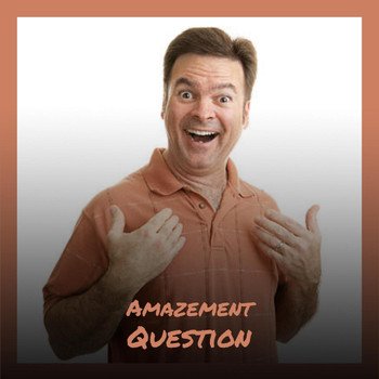 Various Artists - Amazement Question