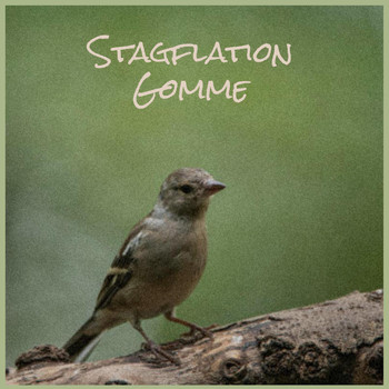 Various Artists - Stagflation Gomme
