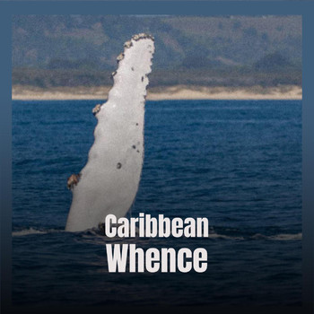 Various Artists - Caribbean Whence
