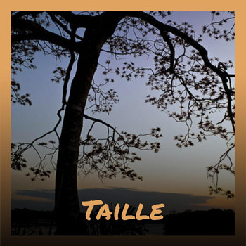 Various Artists - Taille