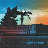Salmonella Dub - Push on Thru (Radio Cut)