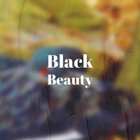 Various Artist - Black Beauty