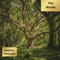 Stephen DeCesare - The Woods