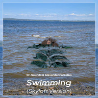 Dr. Sounds and Alexander Forselius - Swimming (Skyloft Version)