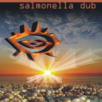 Salmonella Dub - Slide (Radio Cut)