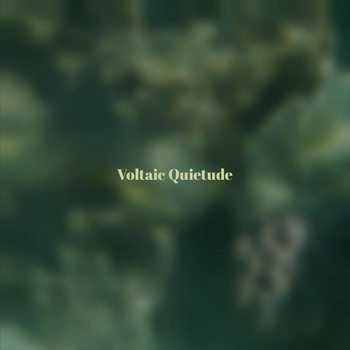 Various Artists - Voltaic Quietude