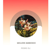 Pedro Dj - Mellow Ambience
