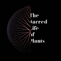 Project Wildeman - The Sacred Life of Plants