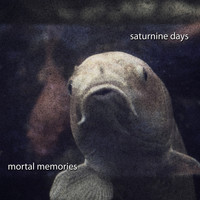 Mortal Memories - Saturnine Days