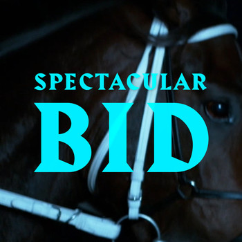 Norma - Spectacular Bid