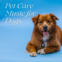 Pet Care Relaxing Companion - Pet Care Music for Dogs