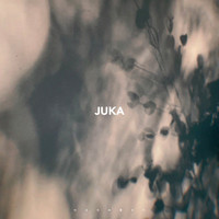 Монофон - Juka