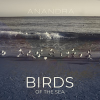 Anandra - Birds of the Sea