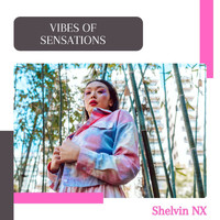 Shelvin NX - Vibes Of Sensations